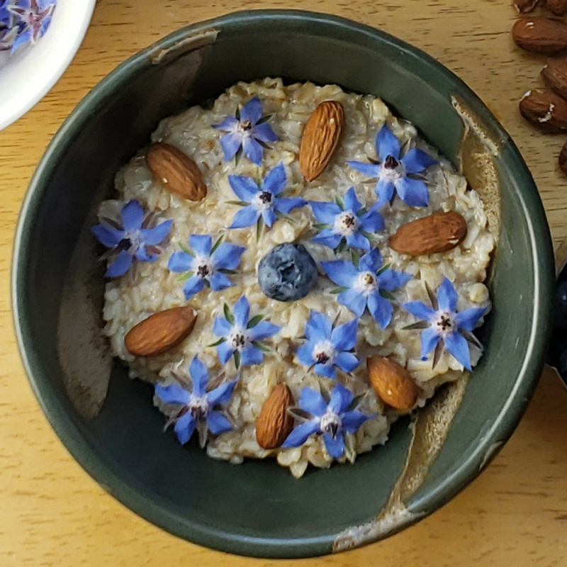 Make a Mandala Breakfast